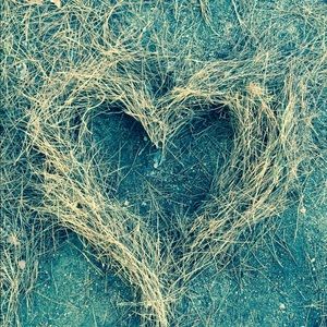 Meet your Posher, Ilona